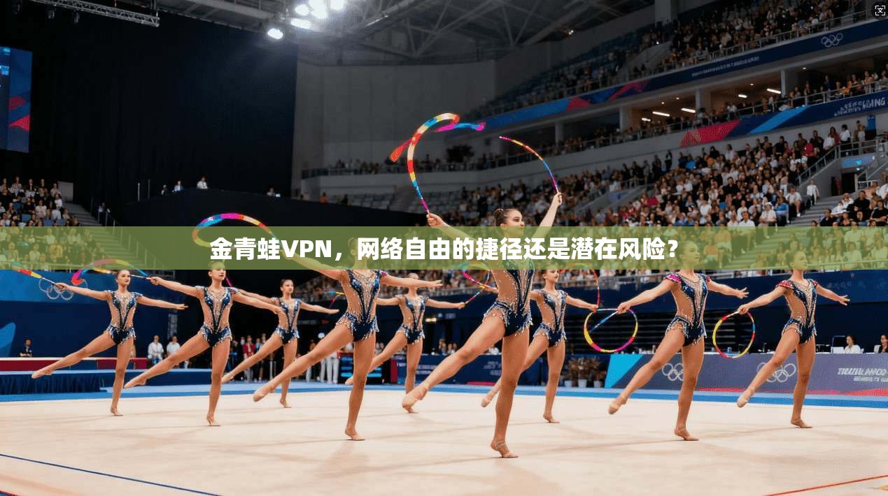 金青蛙VPN，网络自由的捷径还是潜在风险？