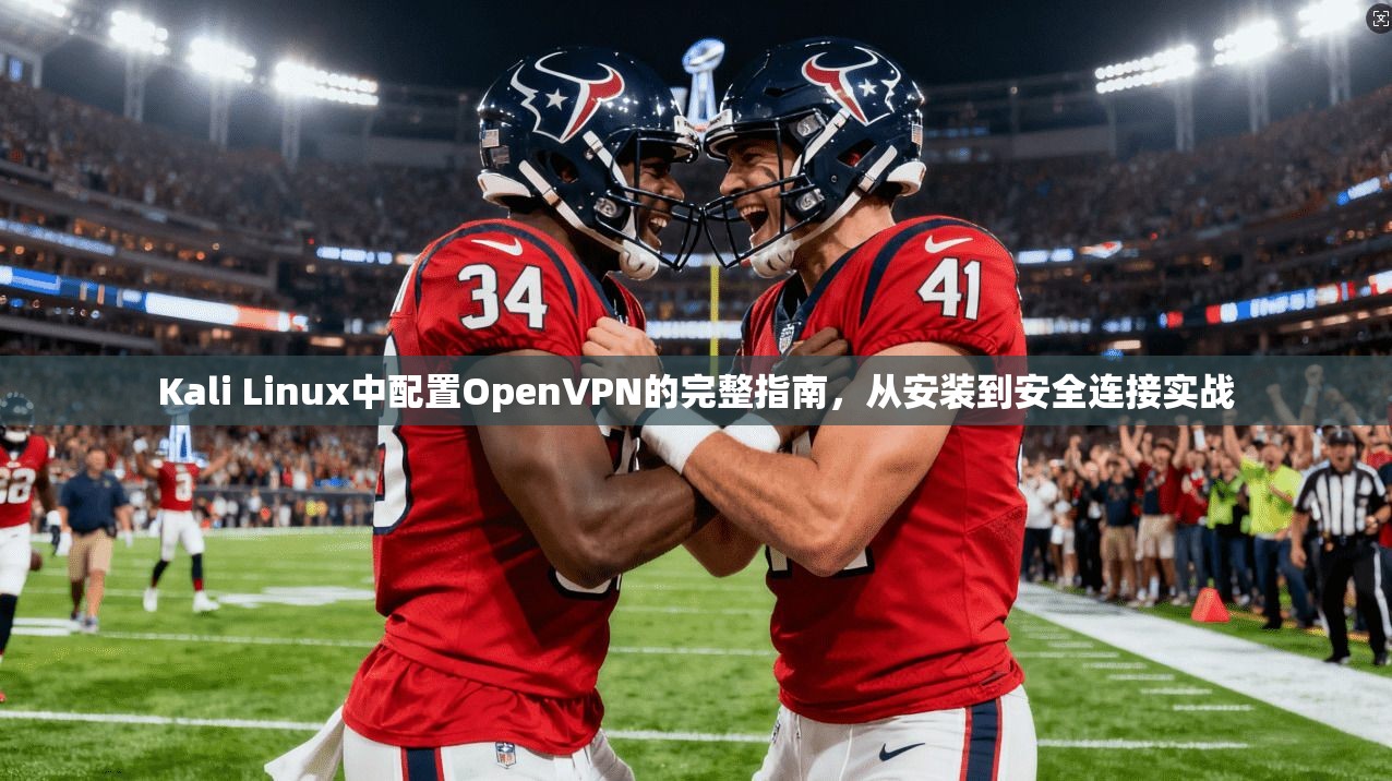 Kali Linux中配置OpenVPN的完整指南,从安装到安全连接实战 Kali Linux中配置OpenVPN的完整指南,从安装到安全连接实战