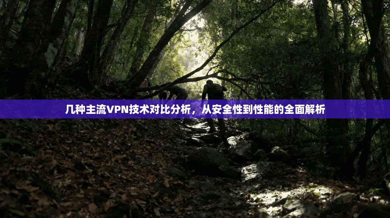 几种主流VPN技术对比分析，从安全性到性能的全面解析
