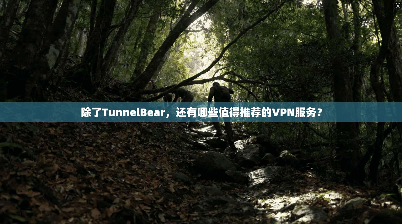 除了TunnelBear，还有哪些值得推荐的VPN服务？