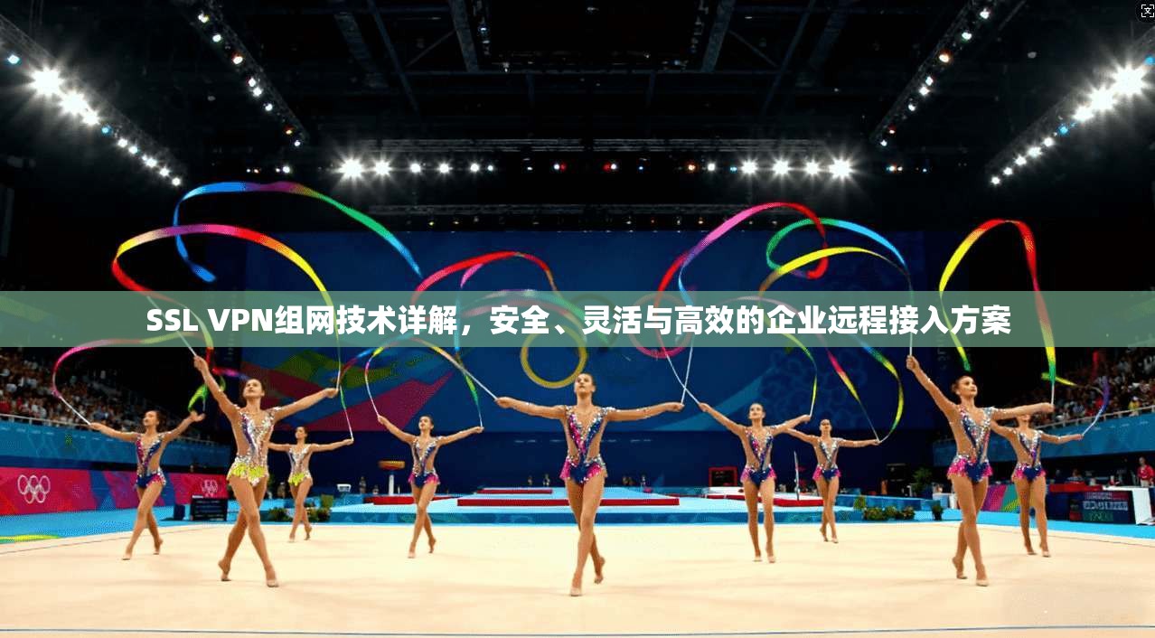 SSL VPN组网技术详解，安全、灵活与高效的企业远程接入方案