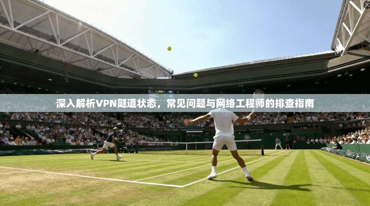 深入解析VPN隧道状态，常见问题与网络工程师的排查指南