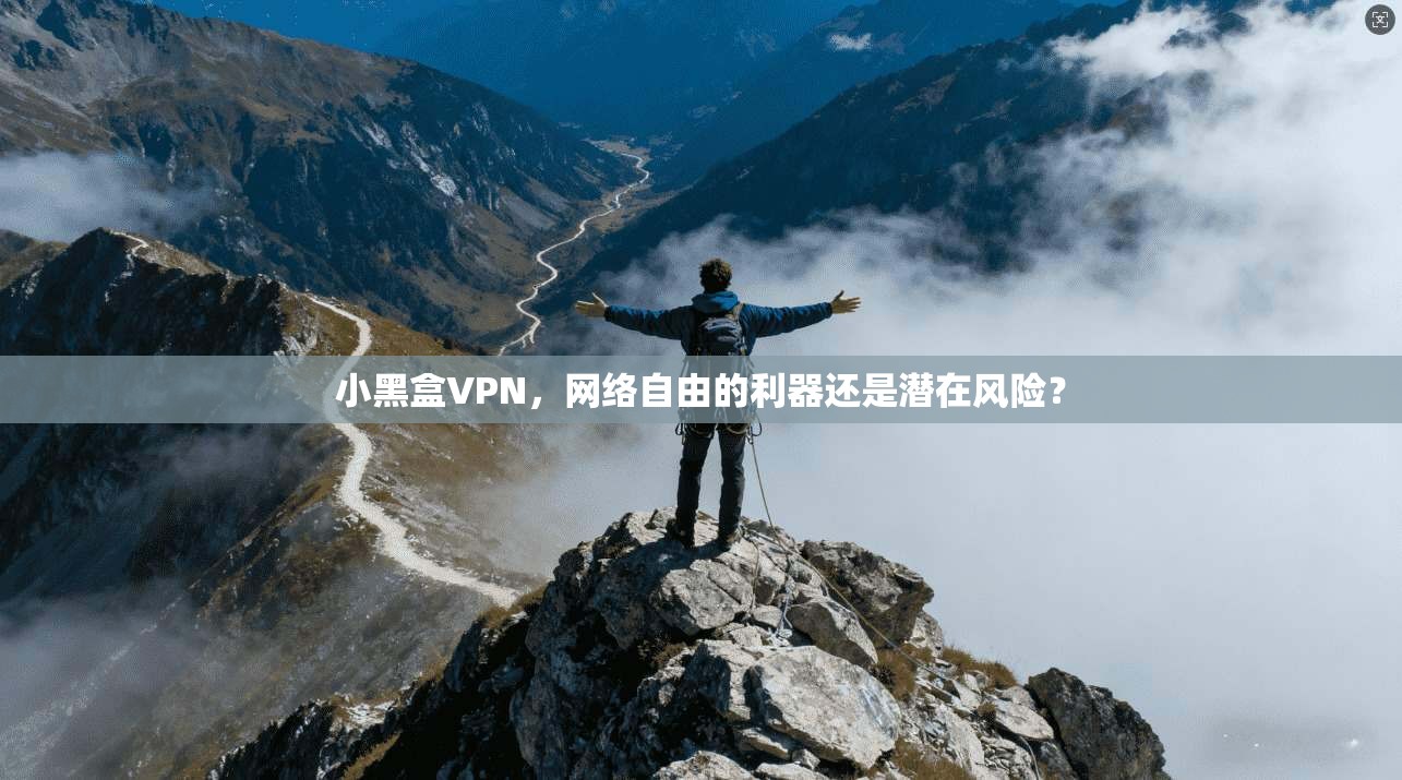 小黑盒VPN，网络自由的利器还是潜在风险？