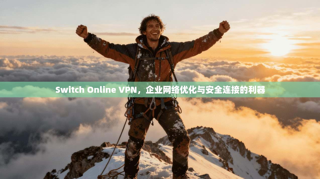 Switch Online VPN，企业网络优化与安全连接的利器