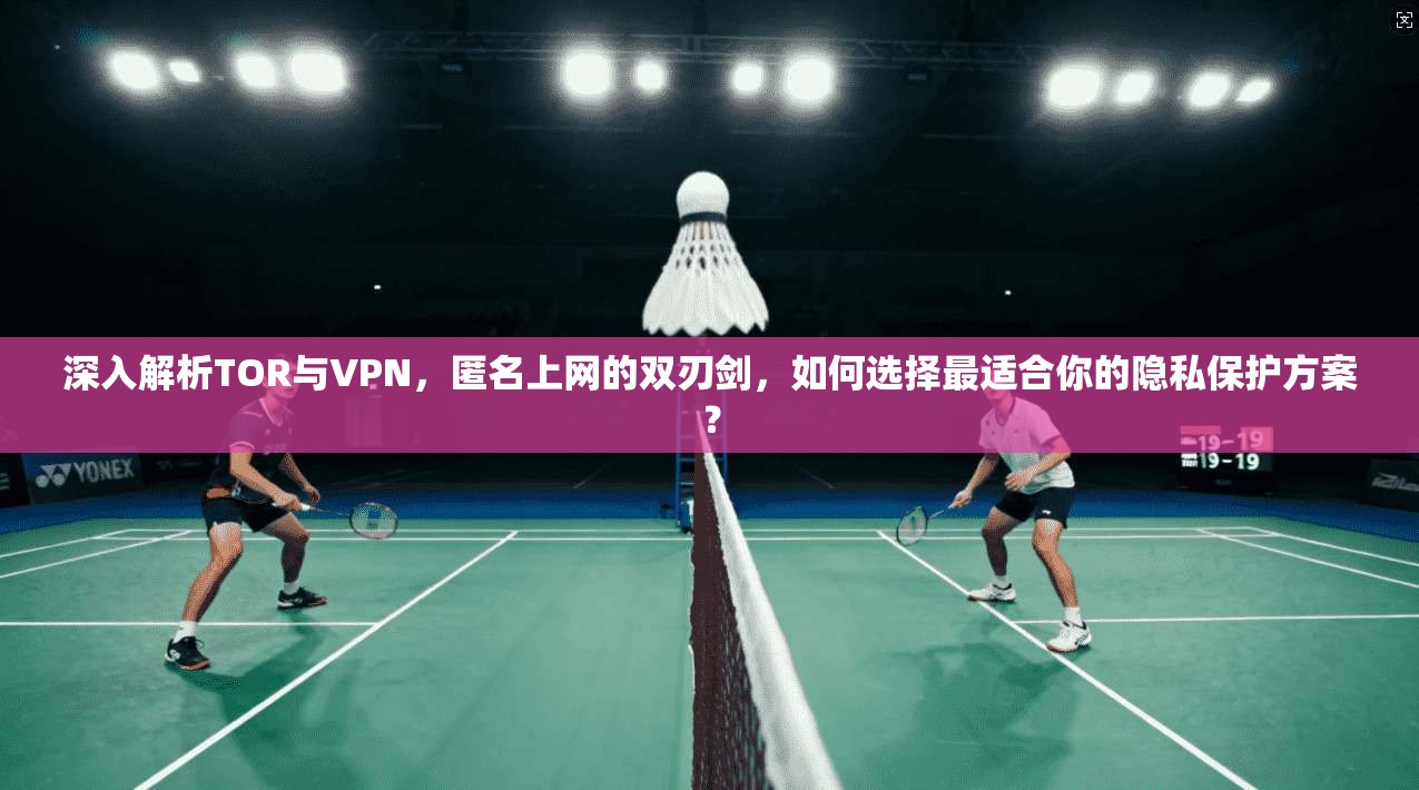 深入解析TOR与VPN，匿名上网的双刃剑，如何选择最适合你的隐私保护方案？