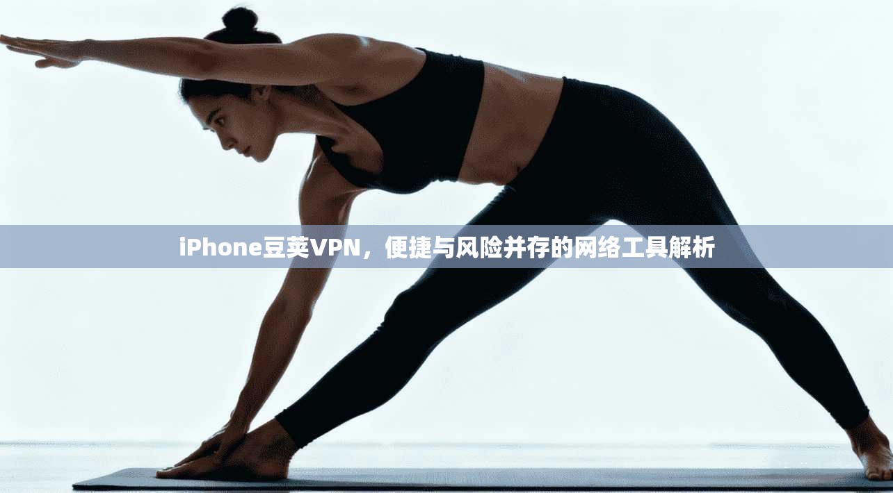 iPhone豆荚VPN，便捷与风险并存的网络工具解析