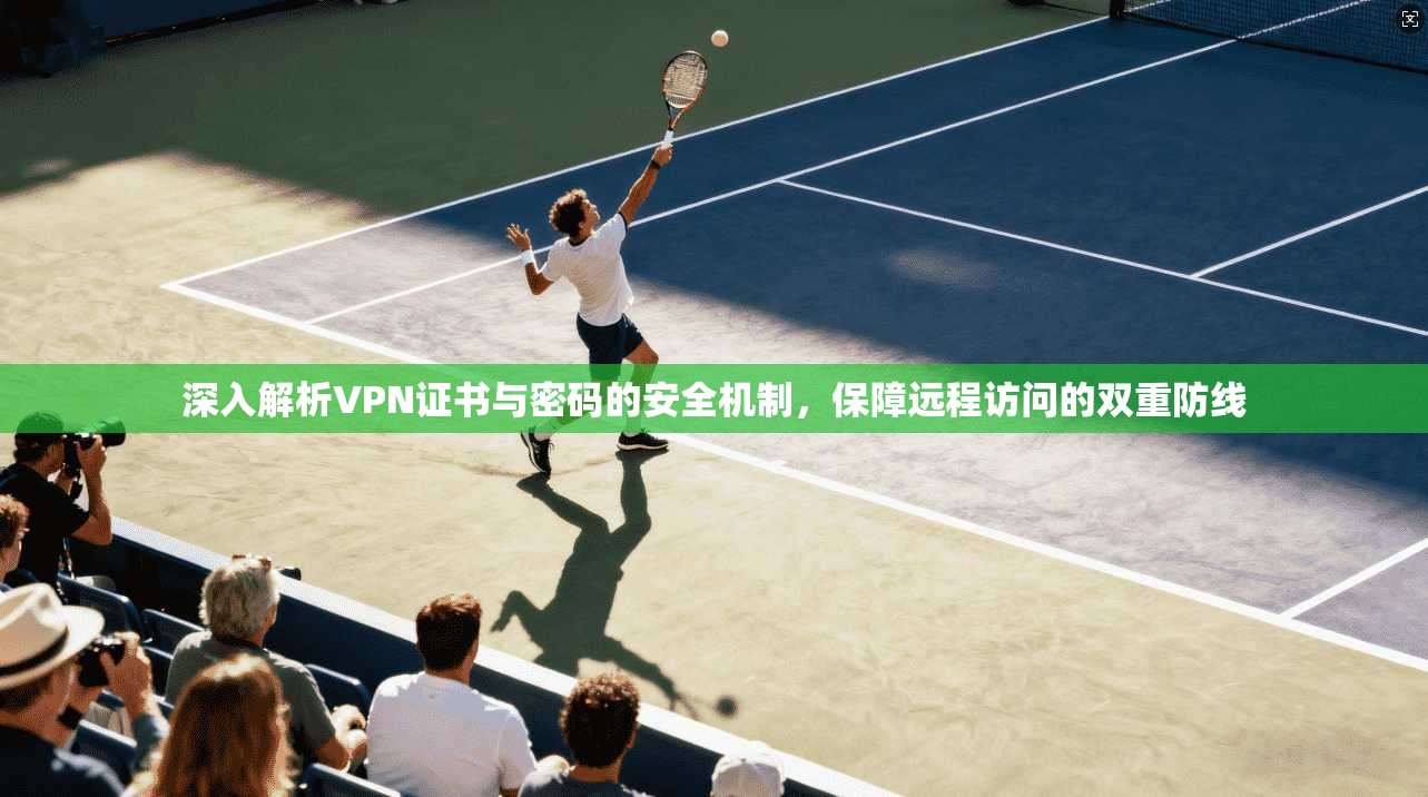 深入解析VPN证书与密码的安全机制，保障远程访问的双重防线