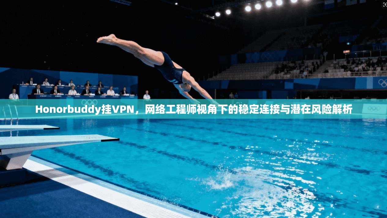 Honorbuddy挂VPN，网络工程师视角下的稳定连接与潜在风险解析