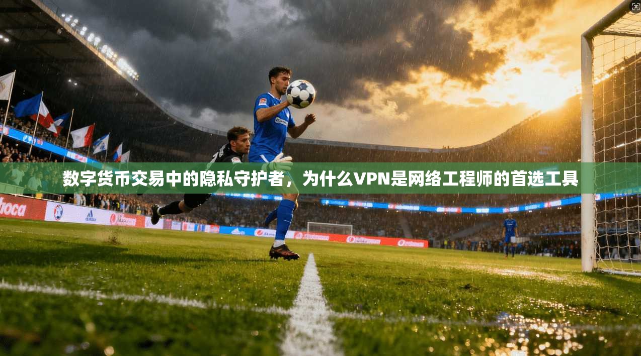 数字货币交易中的隐私守护者，为什么VPN是网络工程师的首选工具