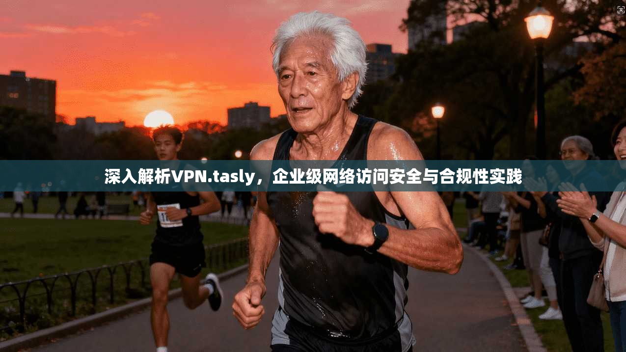 深入解析VPN.tasly，企业级网络访问安全与合规性实践