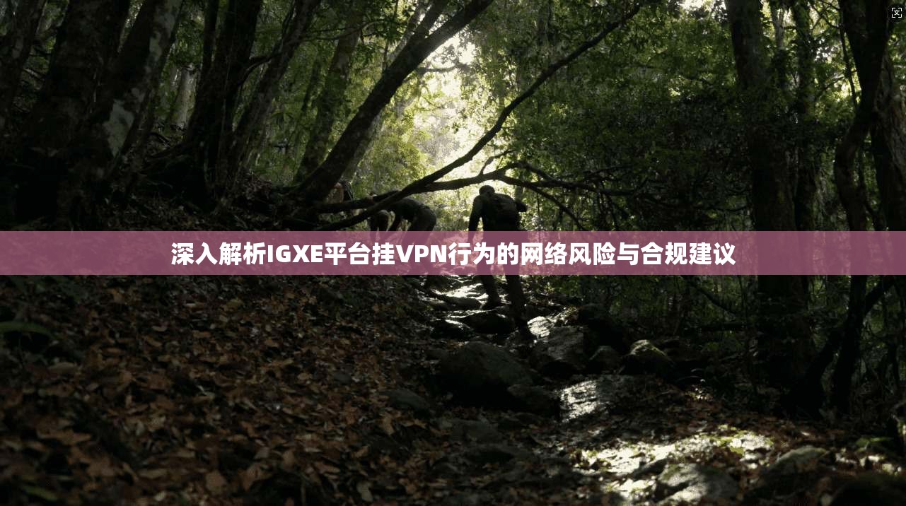 深入解析IGXE平台挂VPN行为的网络风险与合规建议