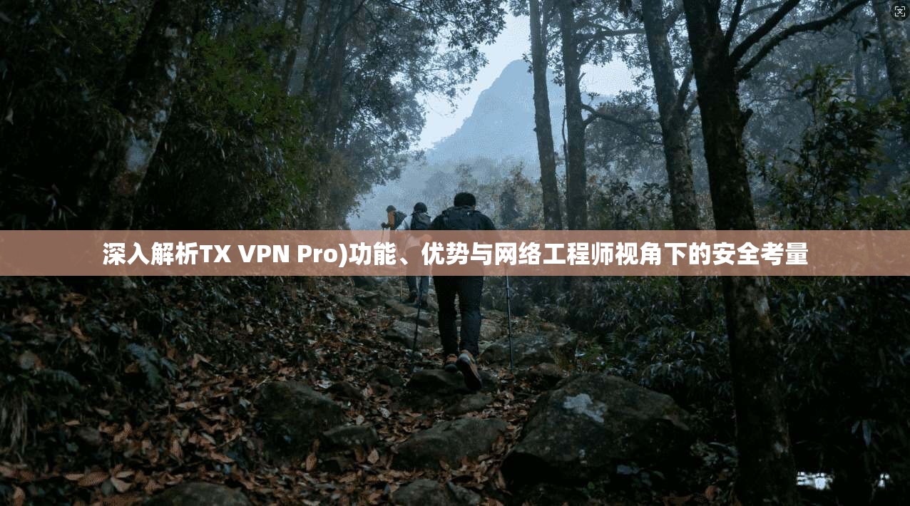 深入解析TX VPN Pro)功能、优势与网络工程师视角下的安全考量