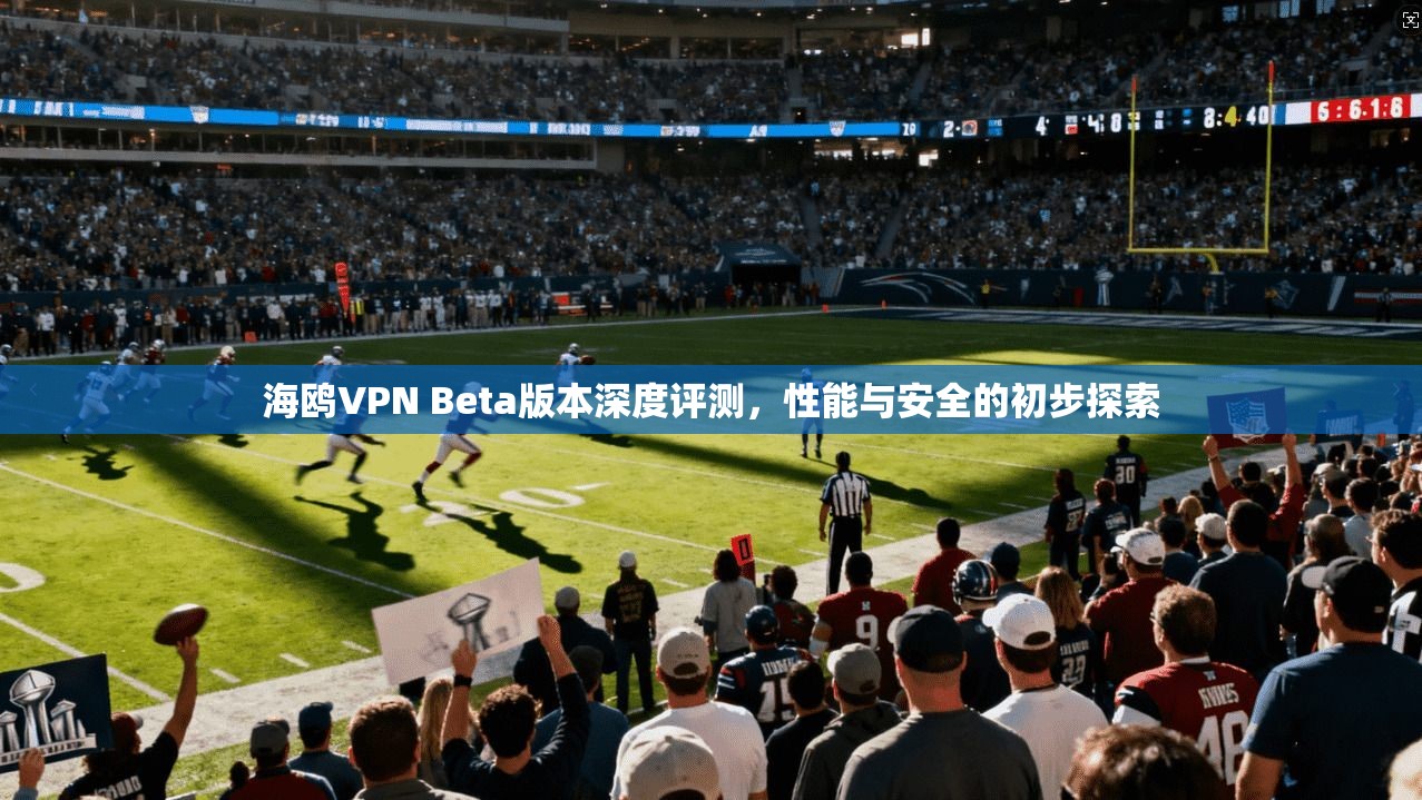 海鸥VPN Beta版本深度评测，性能与安全的初步探索