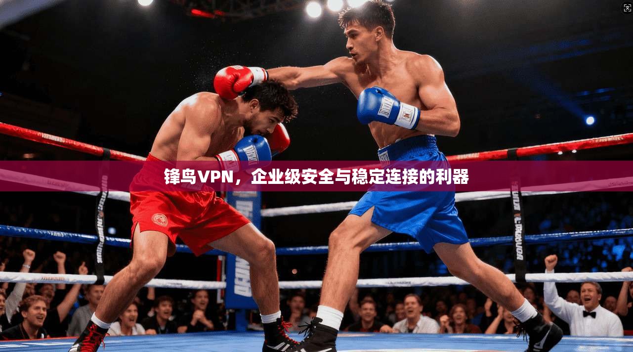 锋鸟VPN，企业级安全与稳定连接的利器