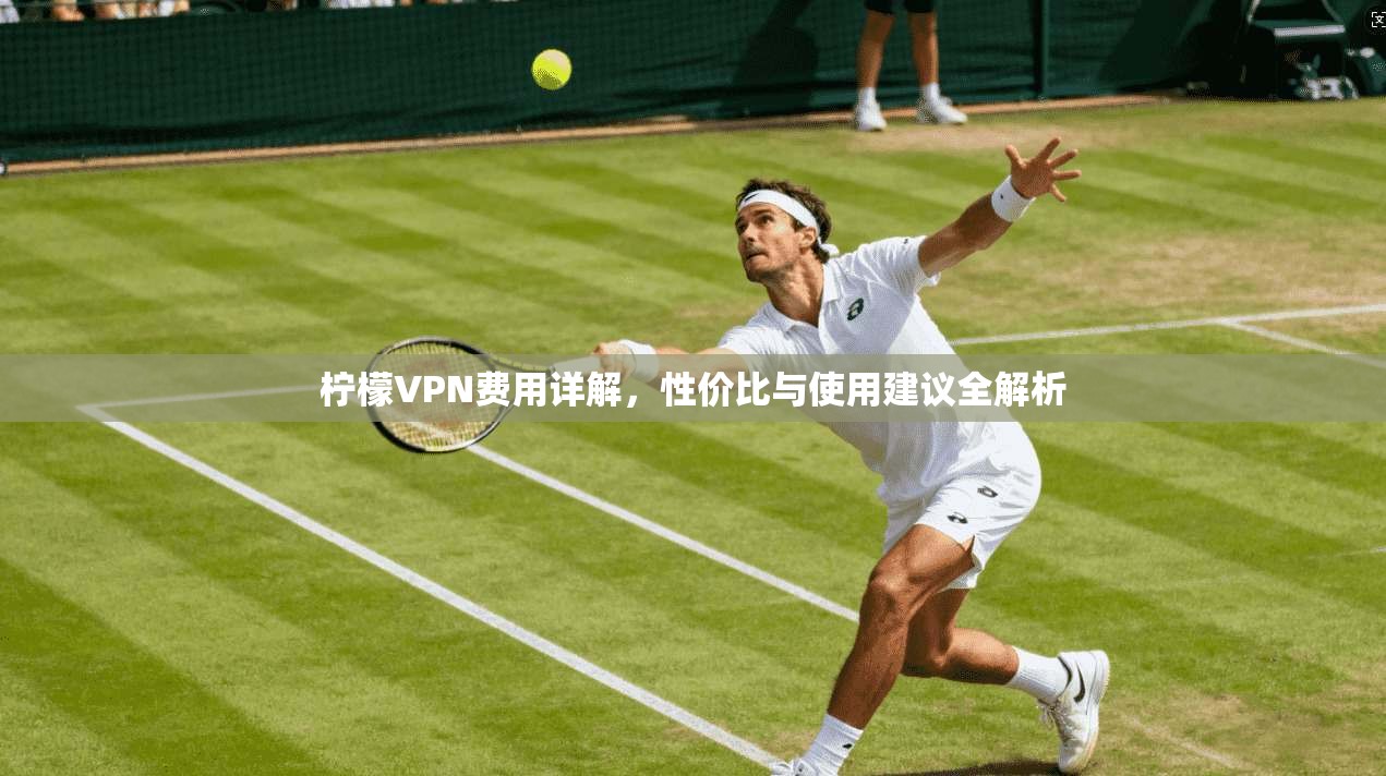柠檬VPN费用详解，性价比与使用建议全解析