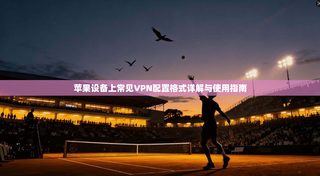 苹果设备上常见VPN配置格式详解与使用指南