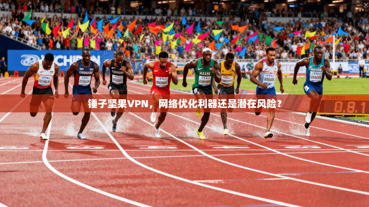 锤子坚果VPN，网络优化利器还是潜在风险？