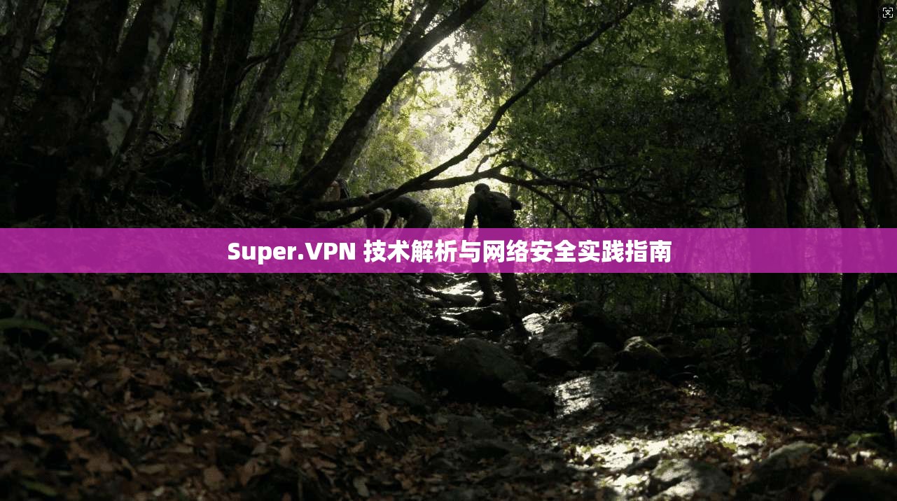 Super.VPN 技术解析与网络安全实践指南