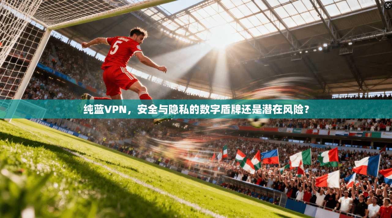 纯蓝VPN，安全与隐私的数字盾牌还是潜在风险？