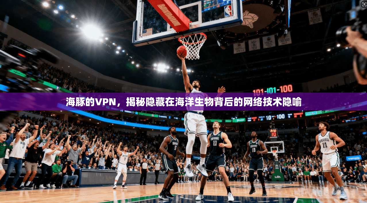 海豚的VPN，揭秘隐藏在海洋生物背后的网络技术隐喻