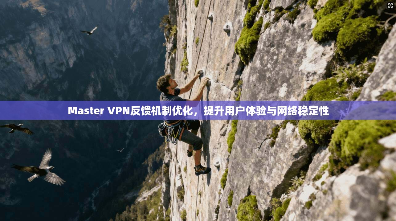 Master VPN反馈机制优化，提升用户体验与网络稳定性