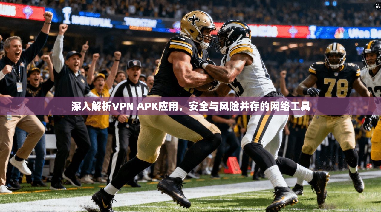 深入解析VPN APK应用，安全与风险并存的网络工具