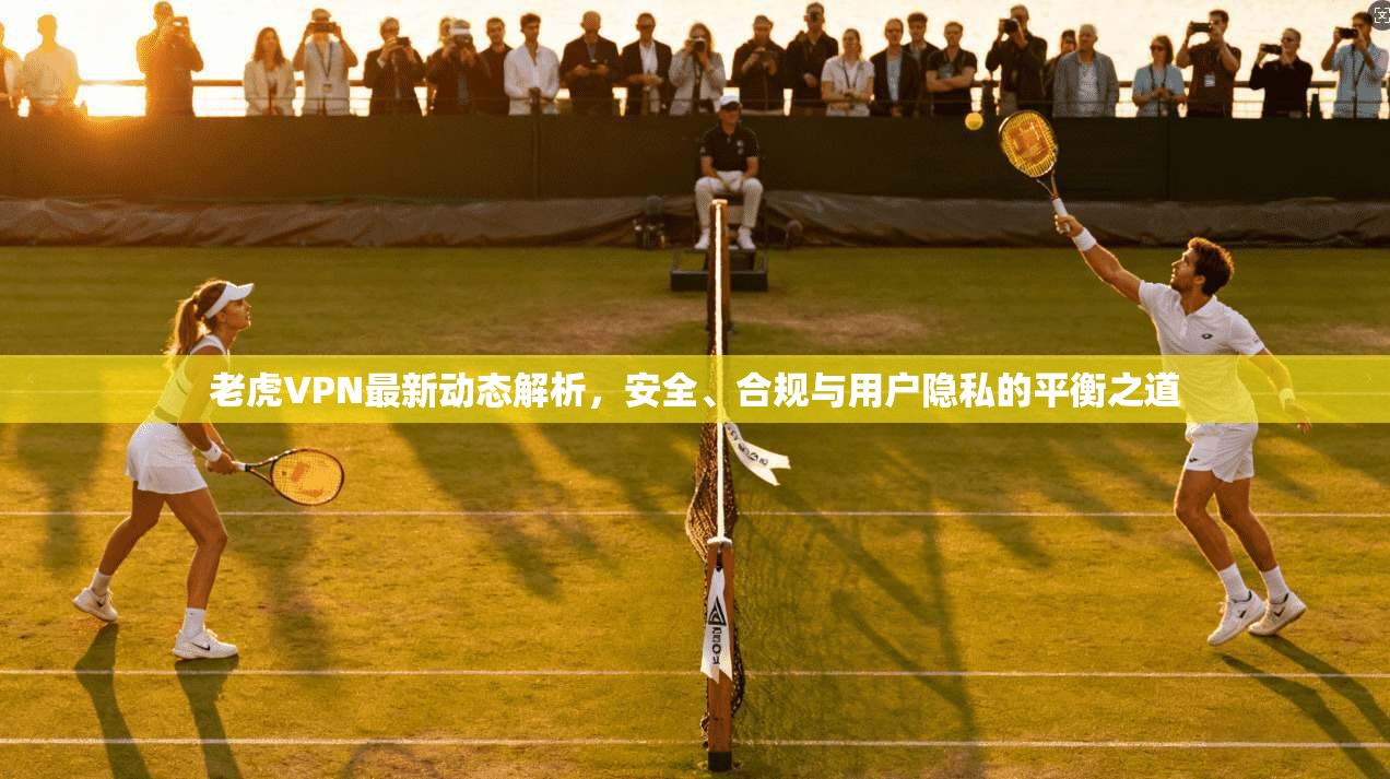 老虎VPN最新动态解析，安全、合规与用户隐私的平衡之道