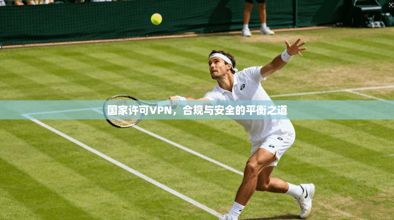 国家许可VPN，合规与安全的平衡之道