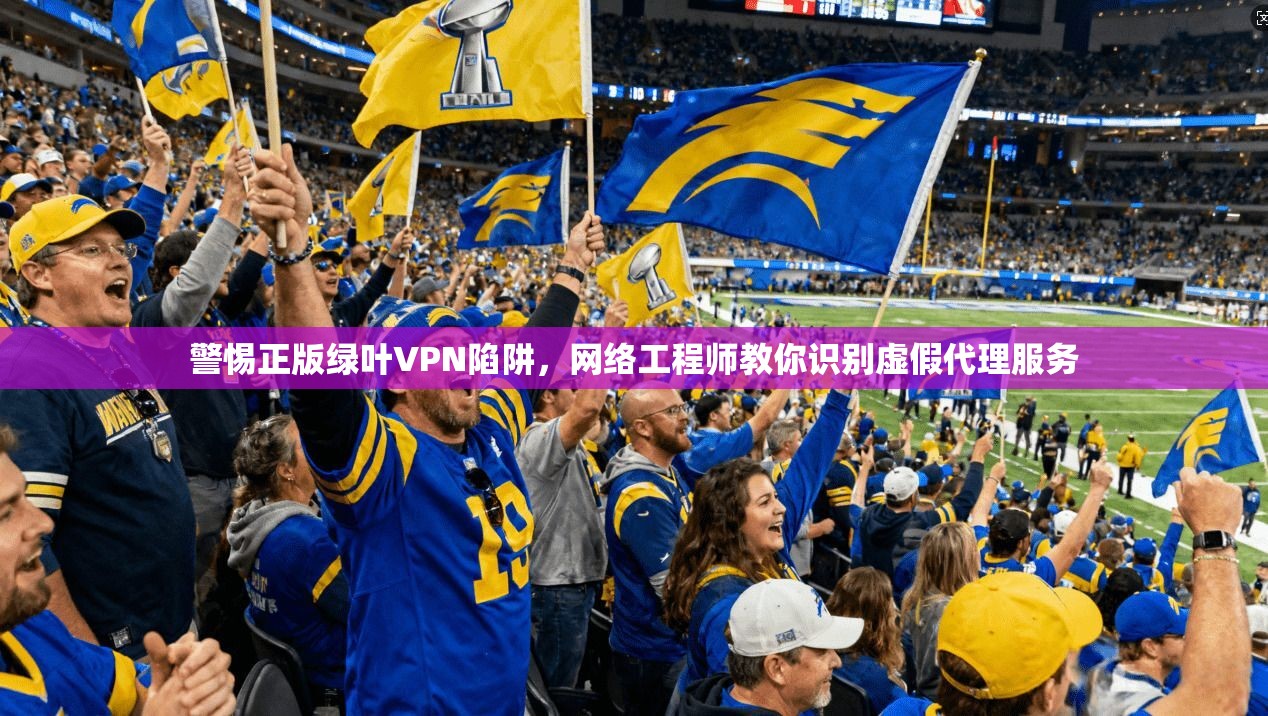 警惕正版绿叶VPN陷阱，网络工程师教你识别虚假代理服务