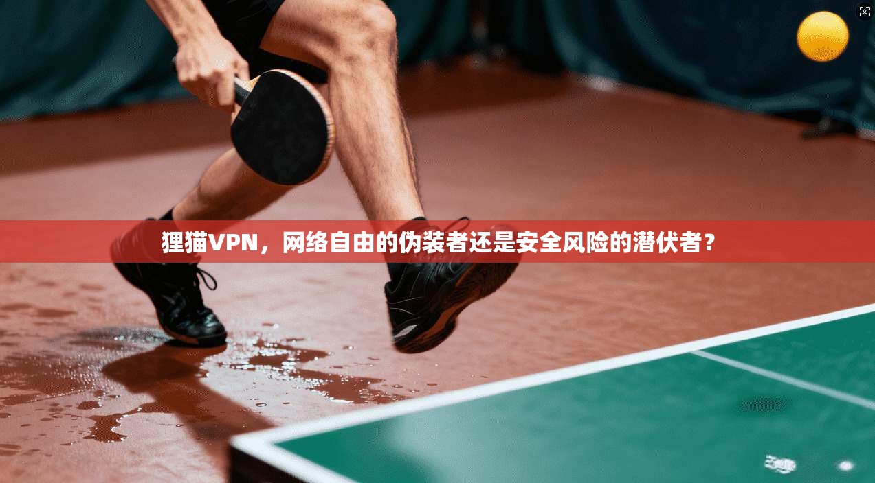狸猫VPN，网络自由的伪装者还是安全风险的潜伏者？