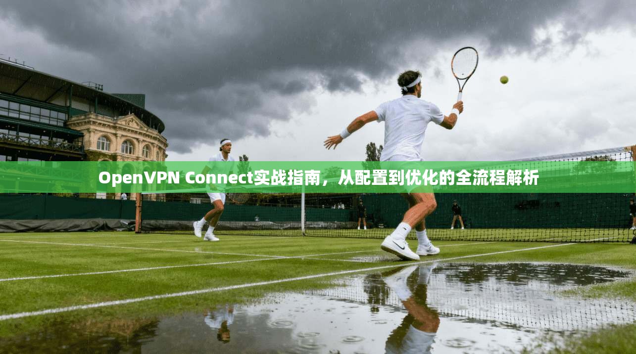 OpenVPN Connect实战指南，从配置到优化的全流程解析