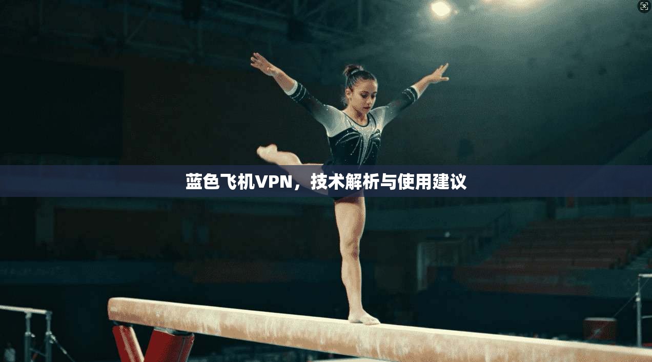 蓝色飞机VPN，技术解析与使用建议