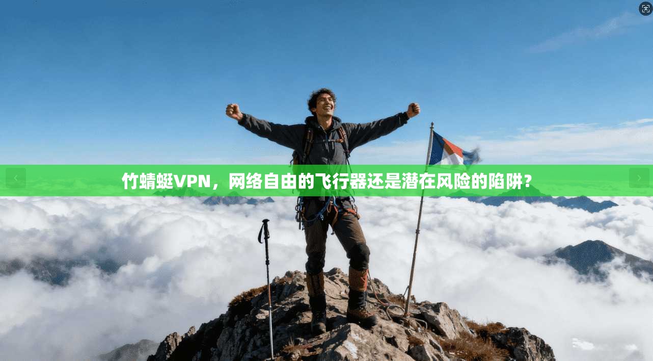竹蜻蜓VPN，网络自由的飞行器还是潜在风险的陷阱？
