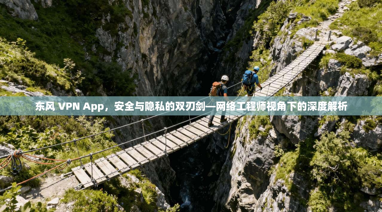 东风 VPN App，安全与隐私的双刃剑—网络工程师视角下的深度解析