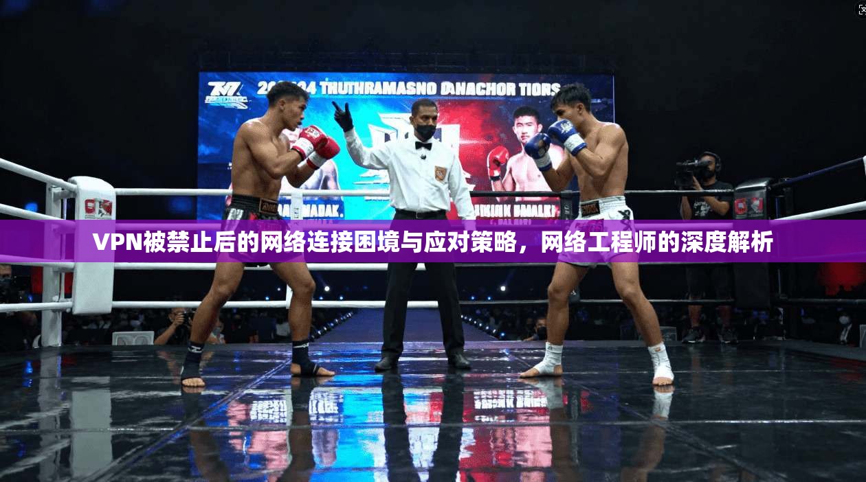 VPN被禁止后的网络连接困境与应对策略，网络工程师的深度解析