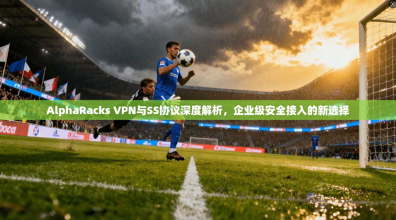AlphaRacks VPN与SS协议深度解析，企业级安全接入的新选择