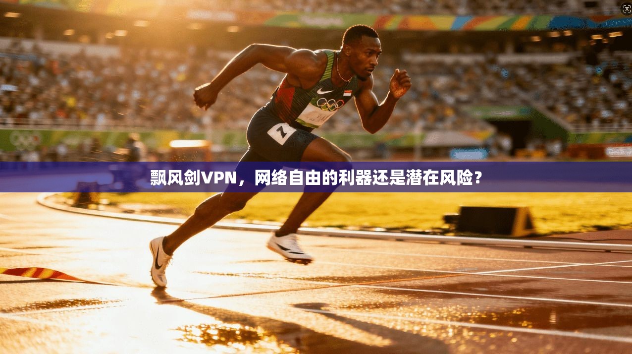 飘风剑VPN，网络自由的利器还是潜在风险？
