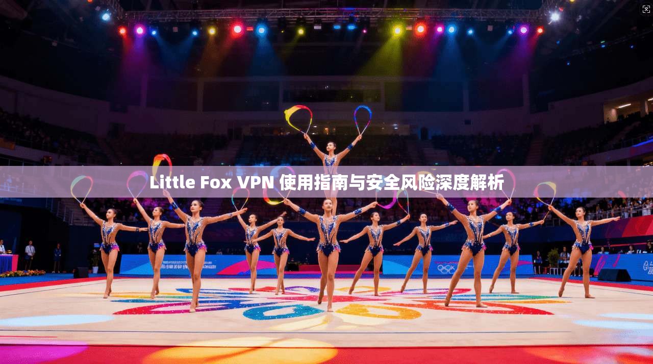 Little Fox VPN 使用指南与安全风险深度解析