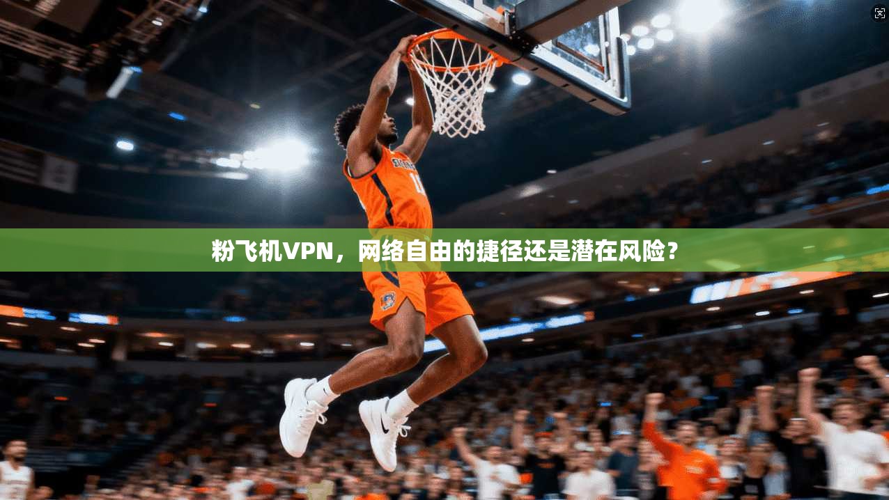 粉飞机VPN，网络自由的捷径还是潜在风险？