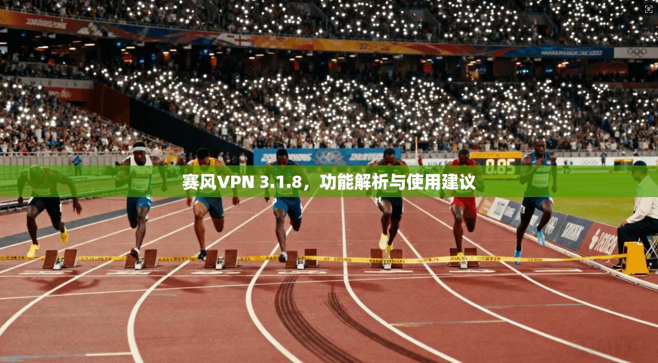 赛风VPN 3.1.8，功能解析与使用建议