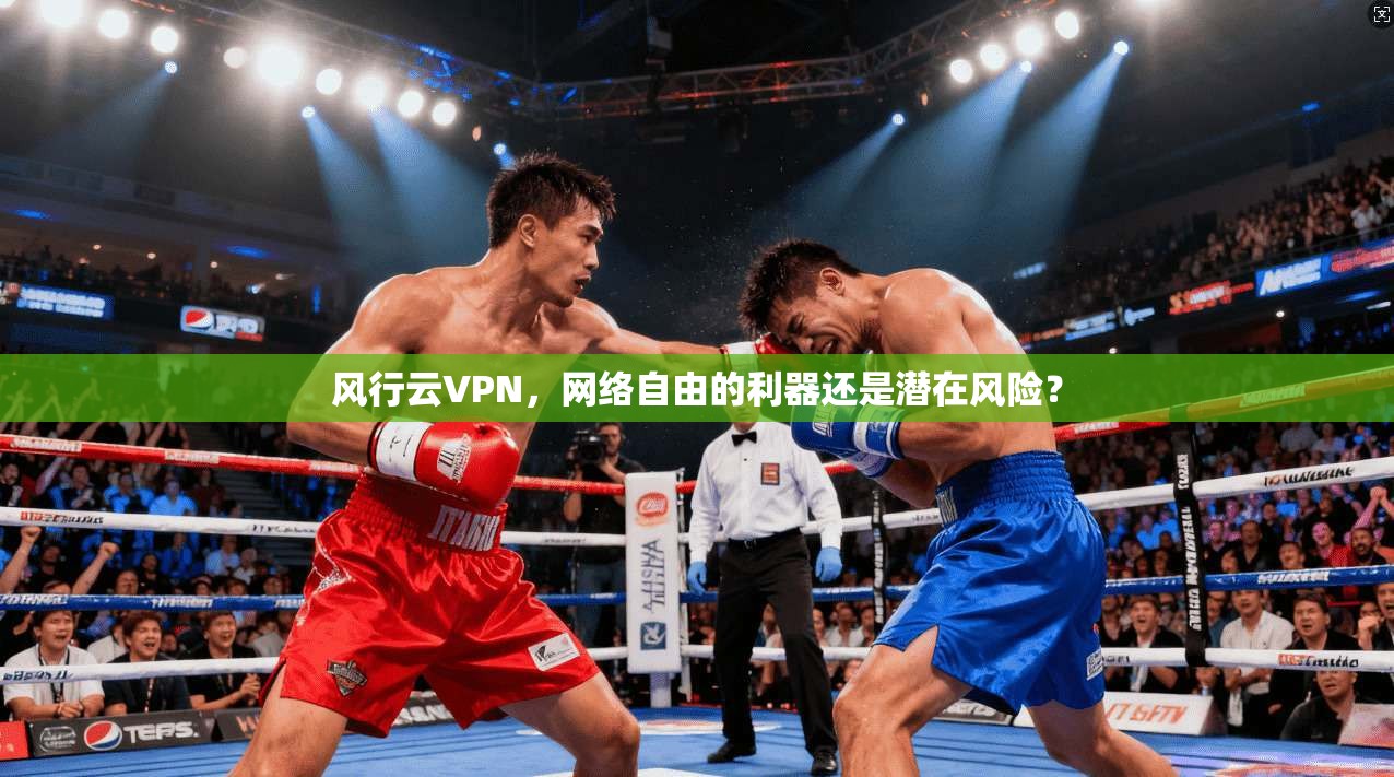 风行云VPN，网络自由的利器还是潜在风险？