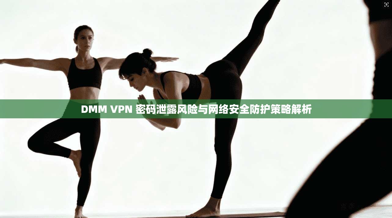 DMM VPN 密码泄露风险与网络安全防护策略解析 DMM VPN 密码泄露风险与网络安全防护策略解析
