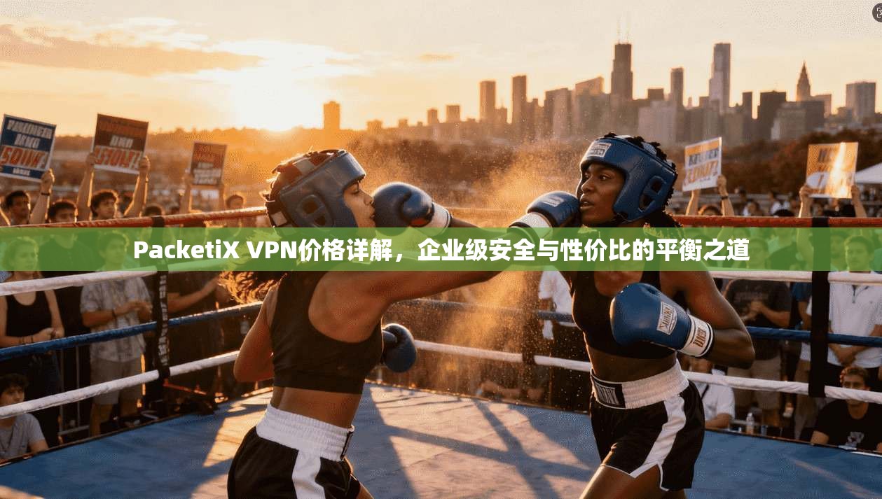 PacketiX VPN价格详解，企业级安全与性价比的平衡之道