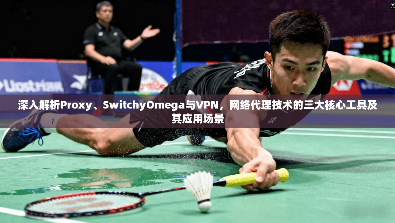 深入解析Proxy、SwitchyOmega与VPN，网络代理技术的三大核心工具及其应用场景