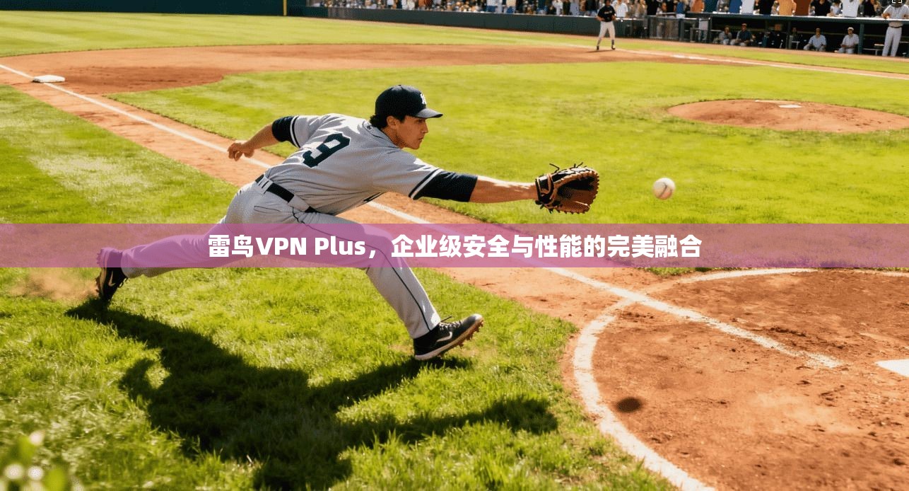 雷鸟VPN Plus，企业级安全与性能的完美融合