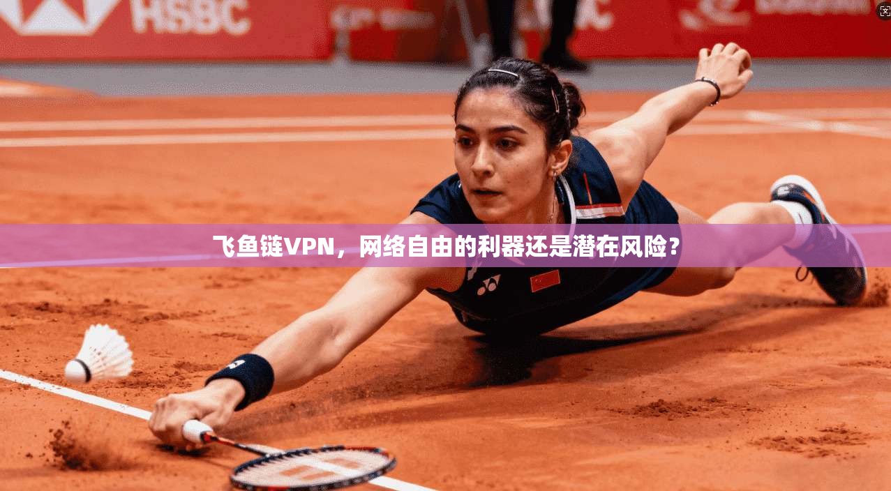 飞鱼链VPN，网络自由的利器还是潜在风险？