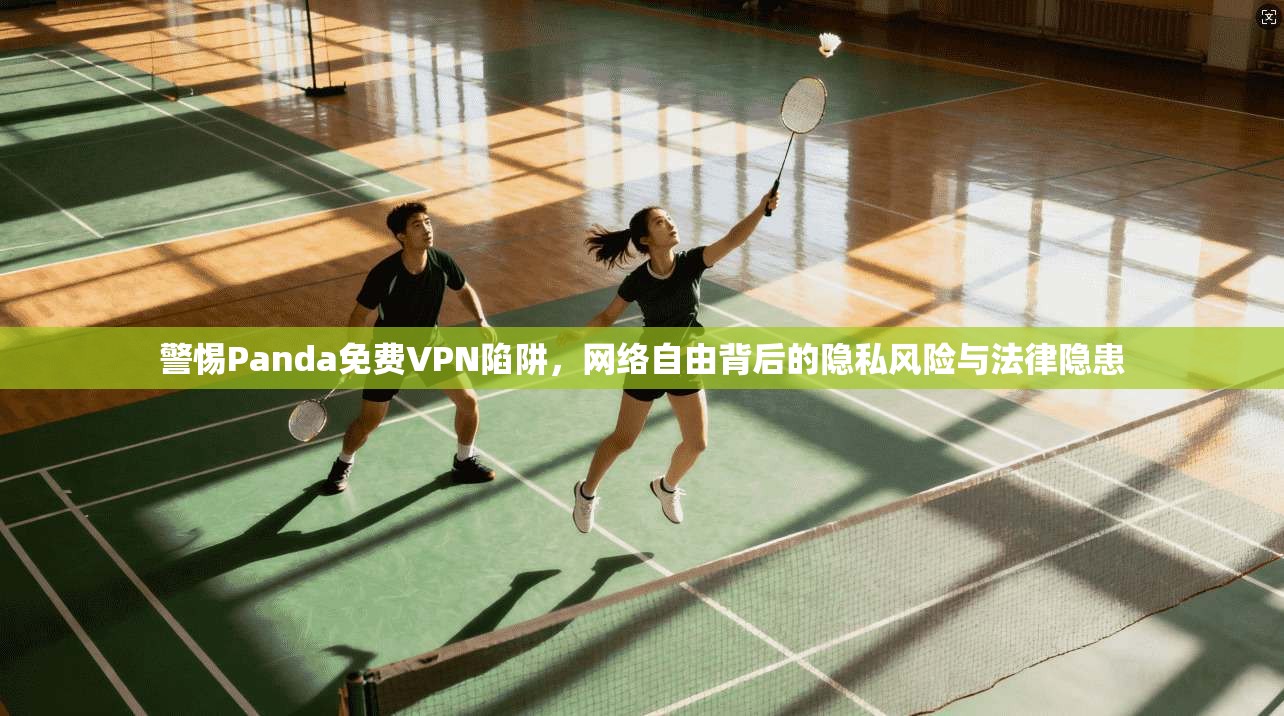 警惕Panda免费VPN陷阱，网络自由背后的隐私风险与法律隐患