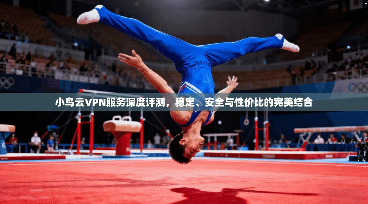小鸟云VPN服务深度评测，稳定、安全与性价比的完美结合