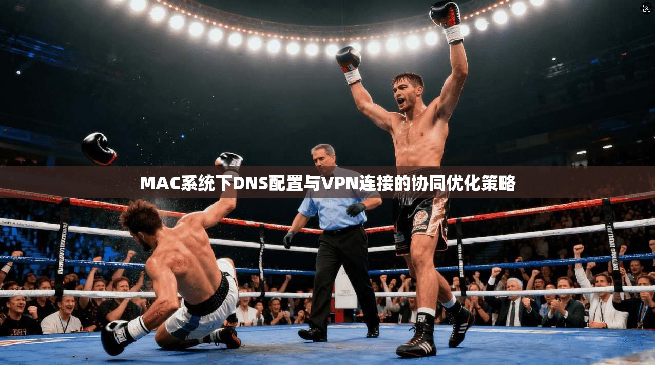 MAC系统下DNS配置与VPN连接的协同优化策略