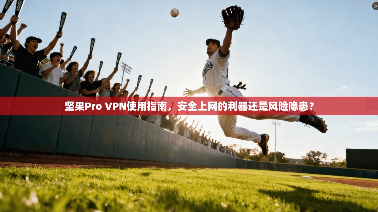 坚果Pro VPN使用指南，安全上网的利器还是风险隐患？